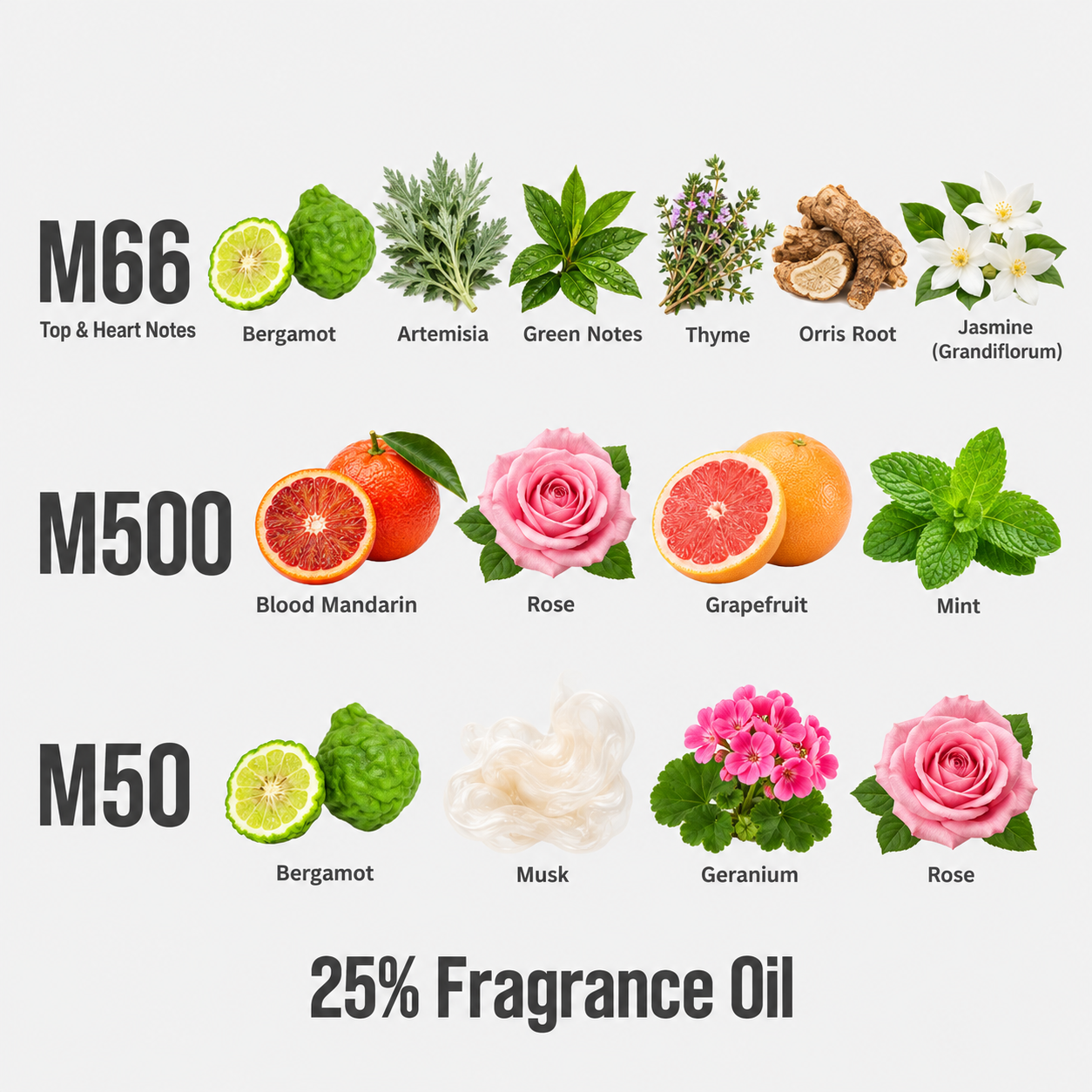 T04 Travel Trilogy β fragrance notes and 25% Fragrance Oil