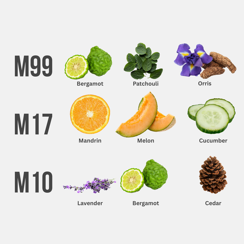 BUY MORE, SAVE MORE (TRAVEL TRILOGY)