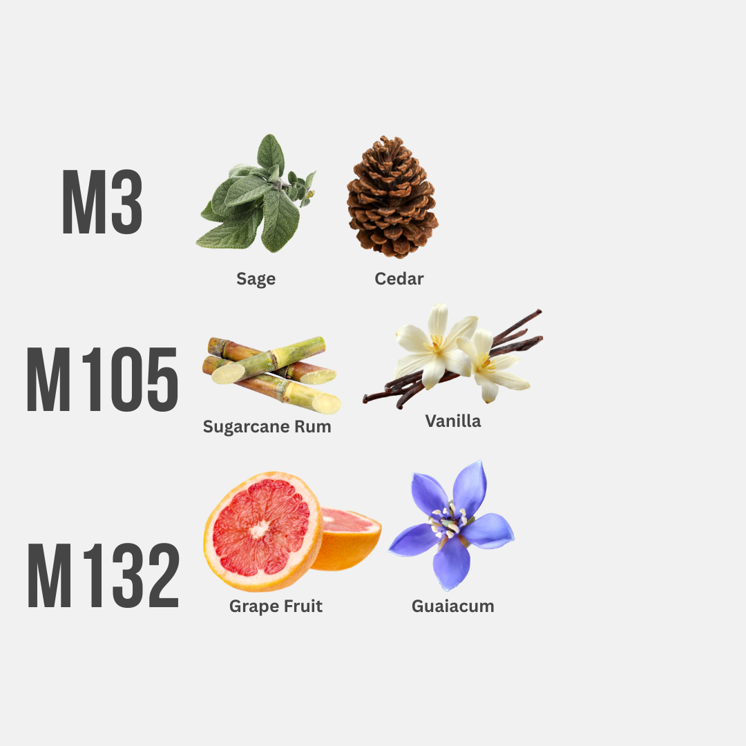 BUY MORE, SAVE MORE (TRAVEL TRILOGY)