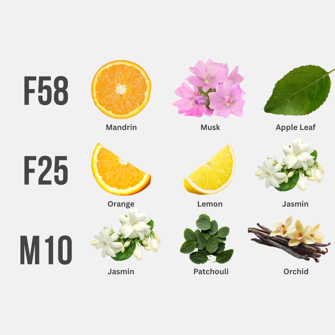 BUY MORE, SAVE MORE (TRAVEL TRILOGY)