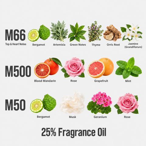 T04 Travel Trilogy – fragrance notes and 25% Fragrance Oil