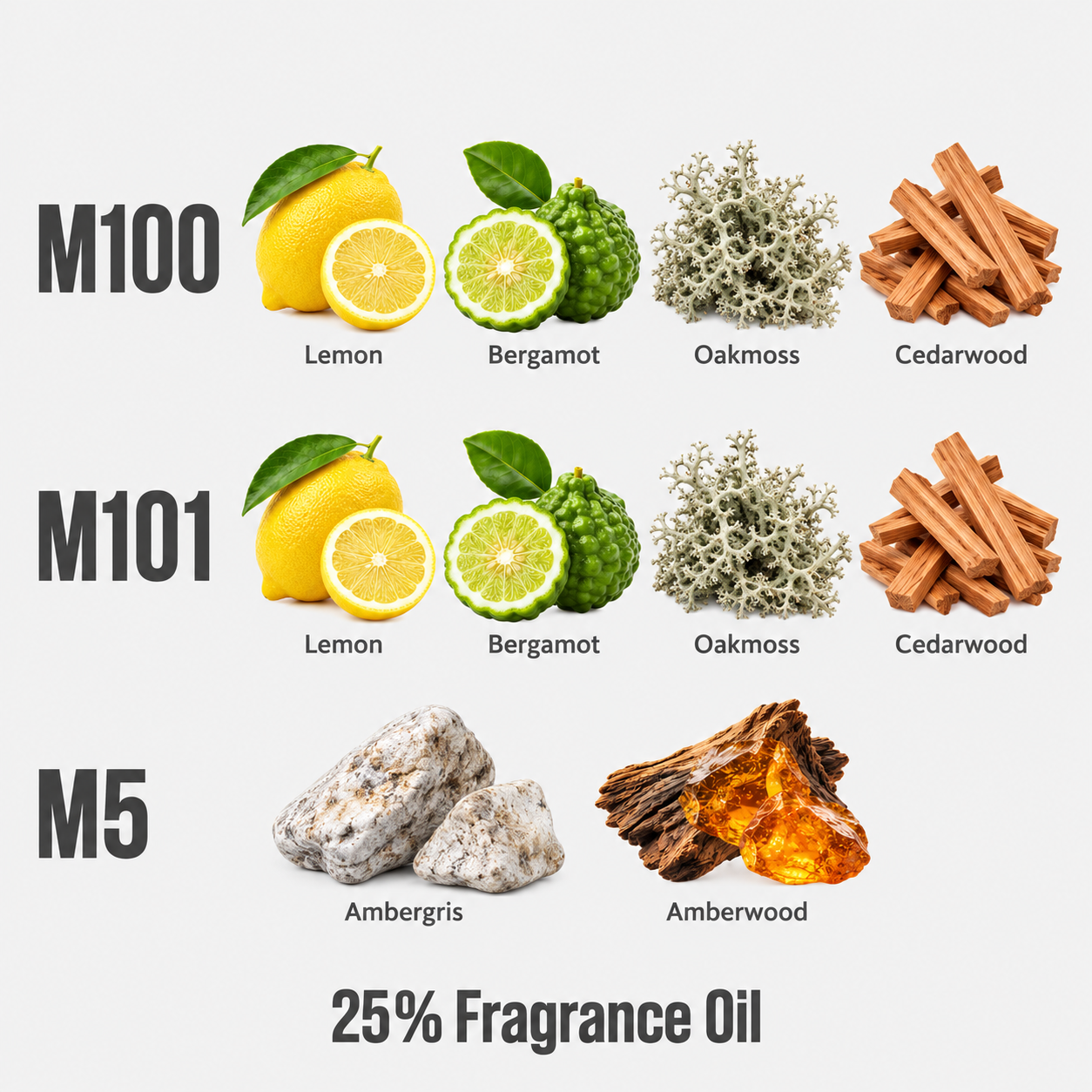 T05 Travel Trilogy – fragrance notes and 25% Fragrance Oil
