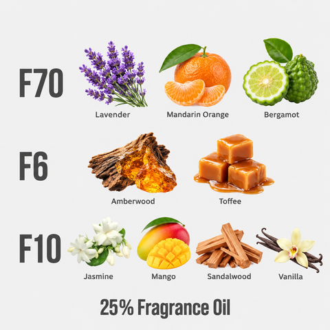 T06 Travel Trilogy – fragrance notes and 25% Fragrance Oil